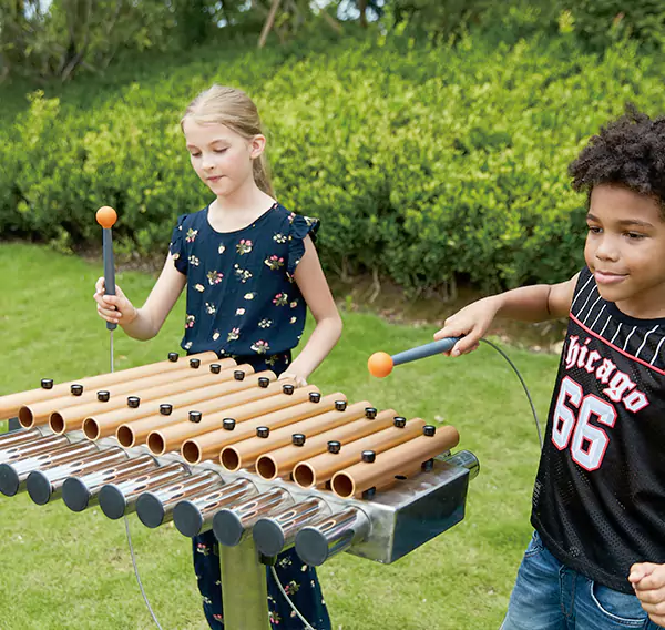 Պատվերով թեման